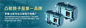 羅德轉(zhuǎn)子泵與南方某電機廠家技術交流，討論合作.